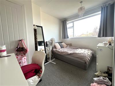 Picture 12